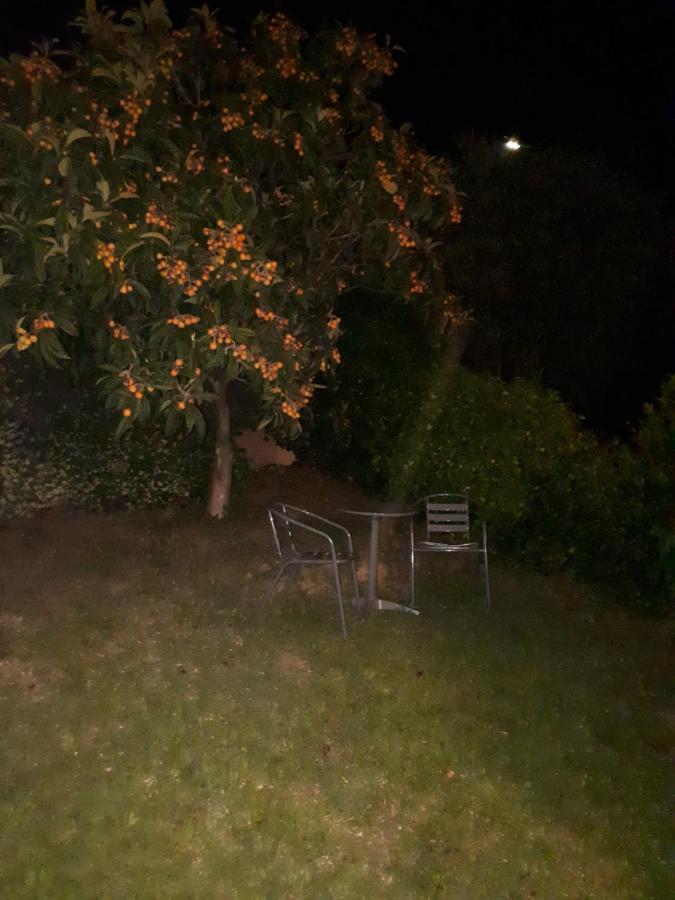 Grand Studio La Roquette-sur-Siagne Eksteriør billede